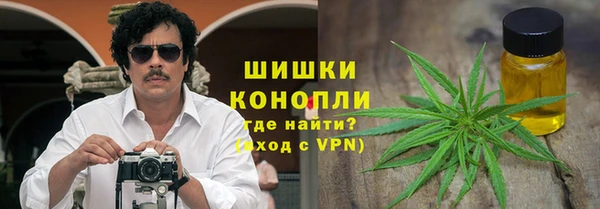 твердый Арсеньев