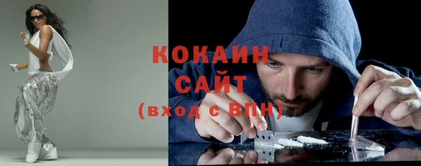 твердый Арсеньев