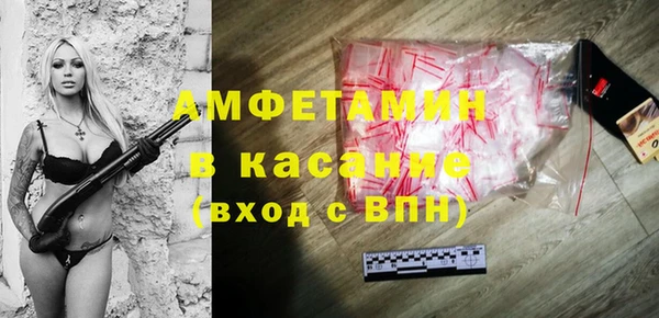 твердый Арсеньев