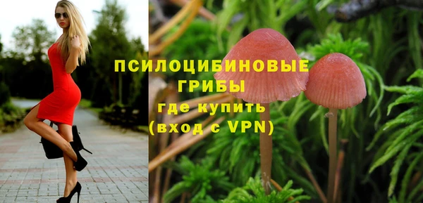 твердый Арсеньев