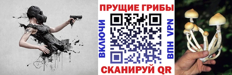 Псилоцибиновые грибы MAGIC MUSHROOMS Рудня